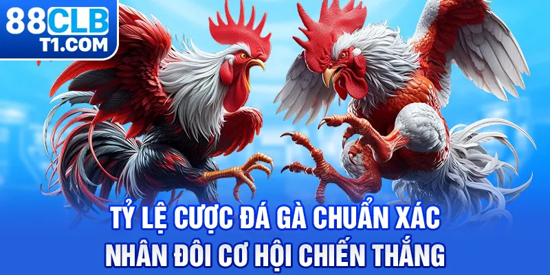 Tỷ Lệ Cược Đá Gà Chuẩn Xác - Nhân Đôi Cơ Hội Chiến Thắng 