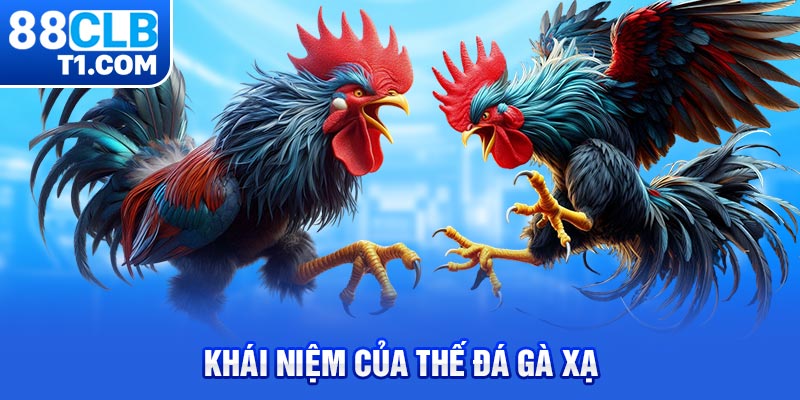 Khái niệm của thế đá gà xạ