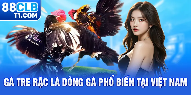 Gà tre rặc là dòng gà phổ biến tại Việt Nam