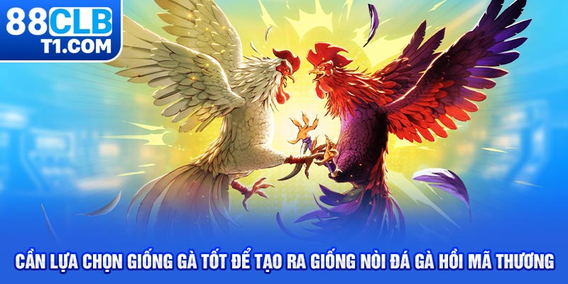 Cần lựa chọn giống gà tốt để tạo ra giống nòi đá gà hồi mã thương