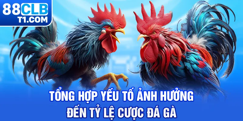 Tổng hợp yếu tố ảnh hưởng đến tỷ lệ cược đá gà