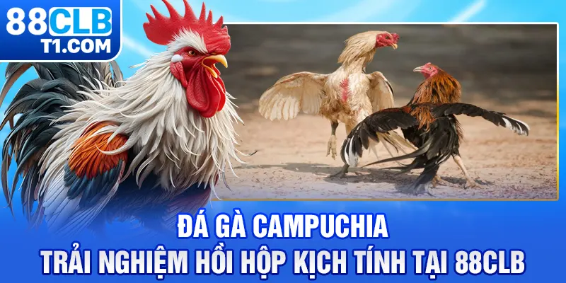 Đá Gà Campuchia - Trải Nghiệm Hồi Hộp Kịch Tính Tại 88CLB