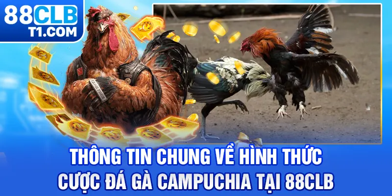 Thông tin chung về hình thức cược đá gà Campuchia tại 88CLB