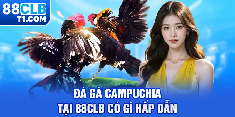 Đá gà Campuchia tại 88CLB có gì hấp dẫn