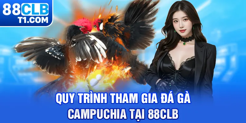 Quy trình tham gia đá gà Campuchia tại 88CLB